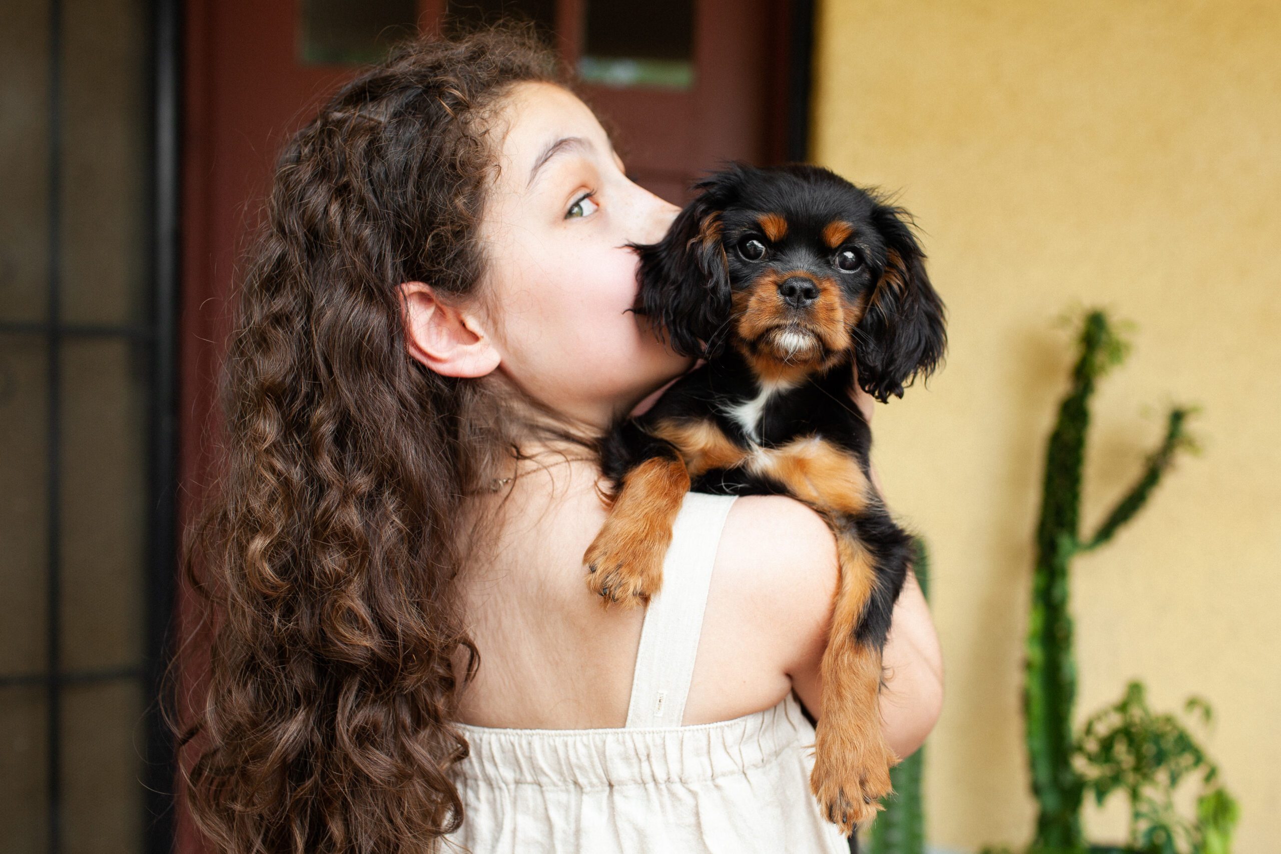 Puppy portraits with daughter on front porch
