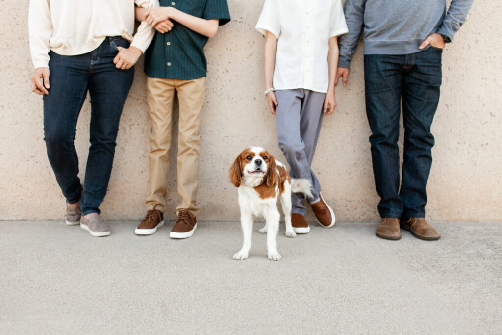 Urban spring sunrise family session at Pima Community College West Campus in Tucson Arizona