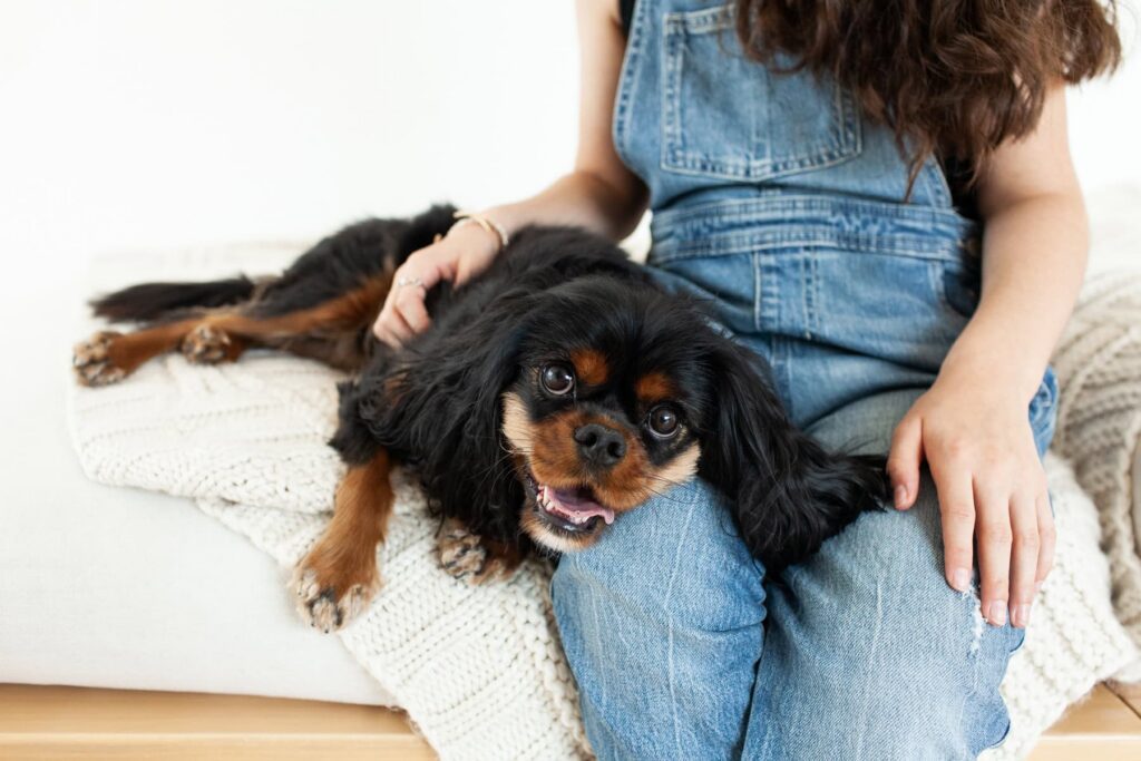 Child sitting next to dog during a modern portrait photography session in Tucson, Arizona.